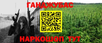 стаф Дмитров