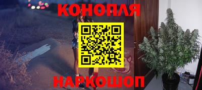 стаф Дмитров