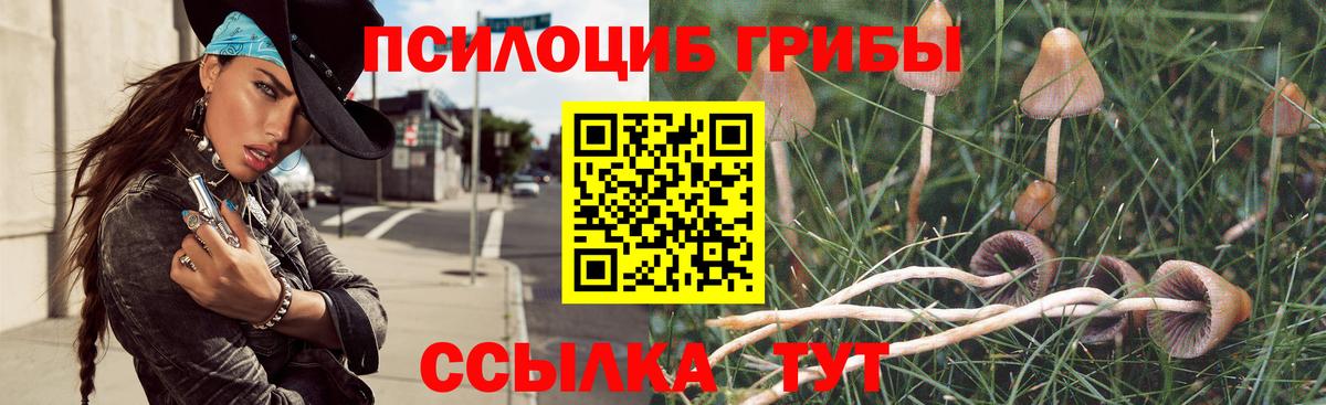Галлюциногенные грибы MAGIC MUSHROOMS Белореченск