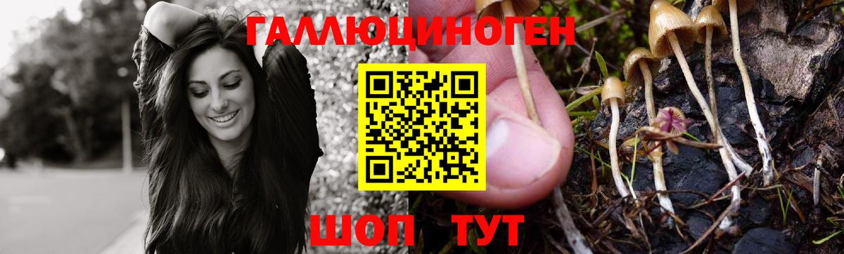 сколько стоит  Галлюциногенные грибы мухоморы  Вход с VPN  Белореченск 